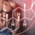 The Connection Between Testosterone and Men’s Well-being